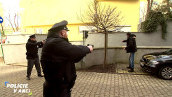 Policie v akci