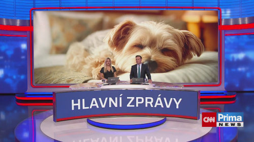Registr psů