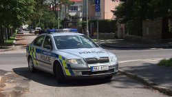 Policie v akci