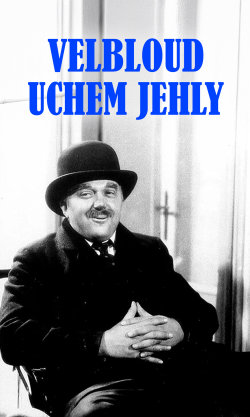 Velbloud uchem jehly