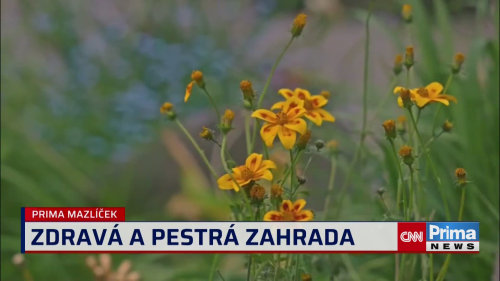 Pestrá a zdravá zahrada