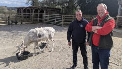 Veterinář z Yorkshiru S12 (8)