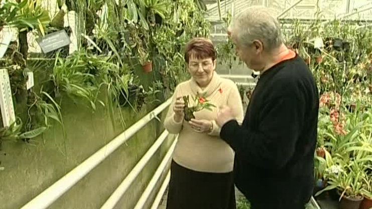Receptář prima nápadů 2007 (9)