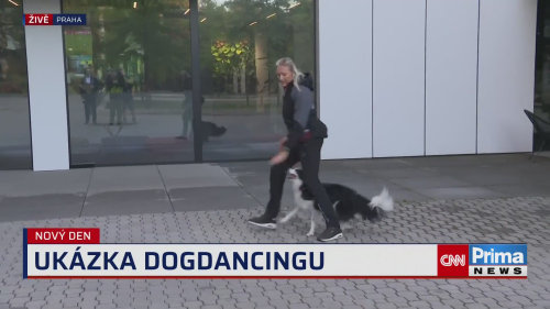 Mistryně světa v dogdancingu Bára a Mexi