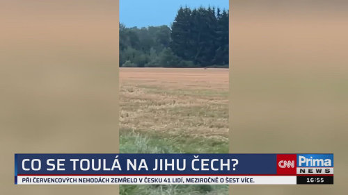 ZPRÁVY Z REGIONŮ, 1.8. v 16:55