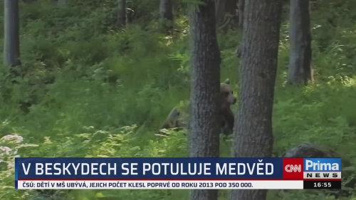 ZPRÁVY Z REGIONŮ, 27.8. v 16:55