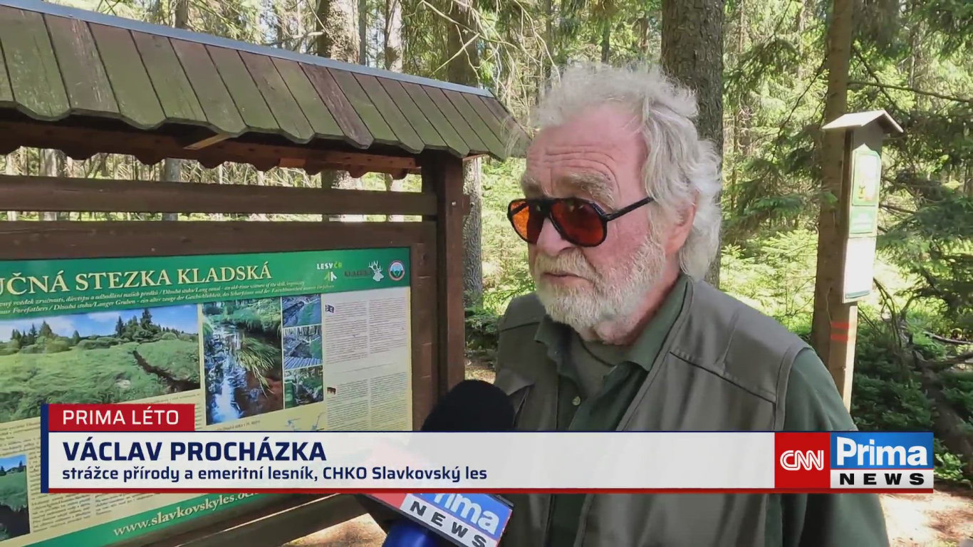 Prima ROK - 14.8. v 17:35 - Prima ROK - CNN Prima NEWS