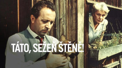 Táto, sežeň štěně!