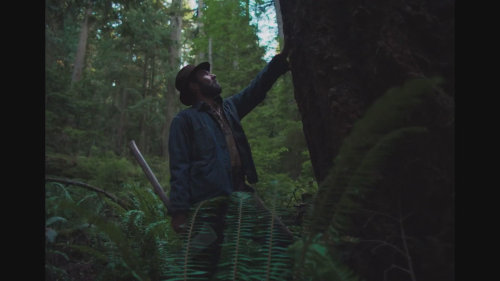 Trailer filmu Sny o vlacích