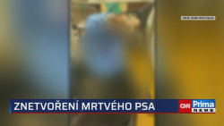 Znetvoření mrtvého psa na pražské veterině vyšetřuje policie