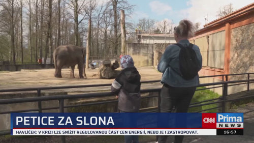 ZPRÁVY Z REGIONŮ, 21.4. v 16:55