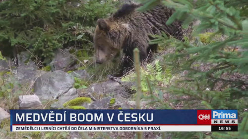 ZPRÁVY Z REGIONŮ - 10.10. v 16:55