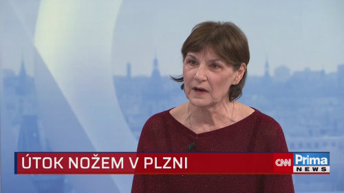 Kriminalistka k pobodání u Boleveckého rybníka