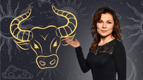 BÝK – týden 23.2. – 01.3.2026