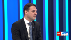 PARTIE TEREZIE TOMÁNKOVÉ, 7.12. v 11:00 - Martin Kupka, Karel Havlíček, Petr Hladík, Petr Macinka