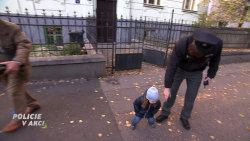 Policie v akci