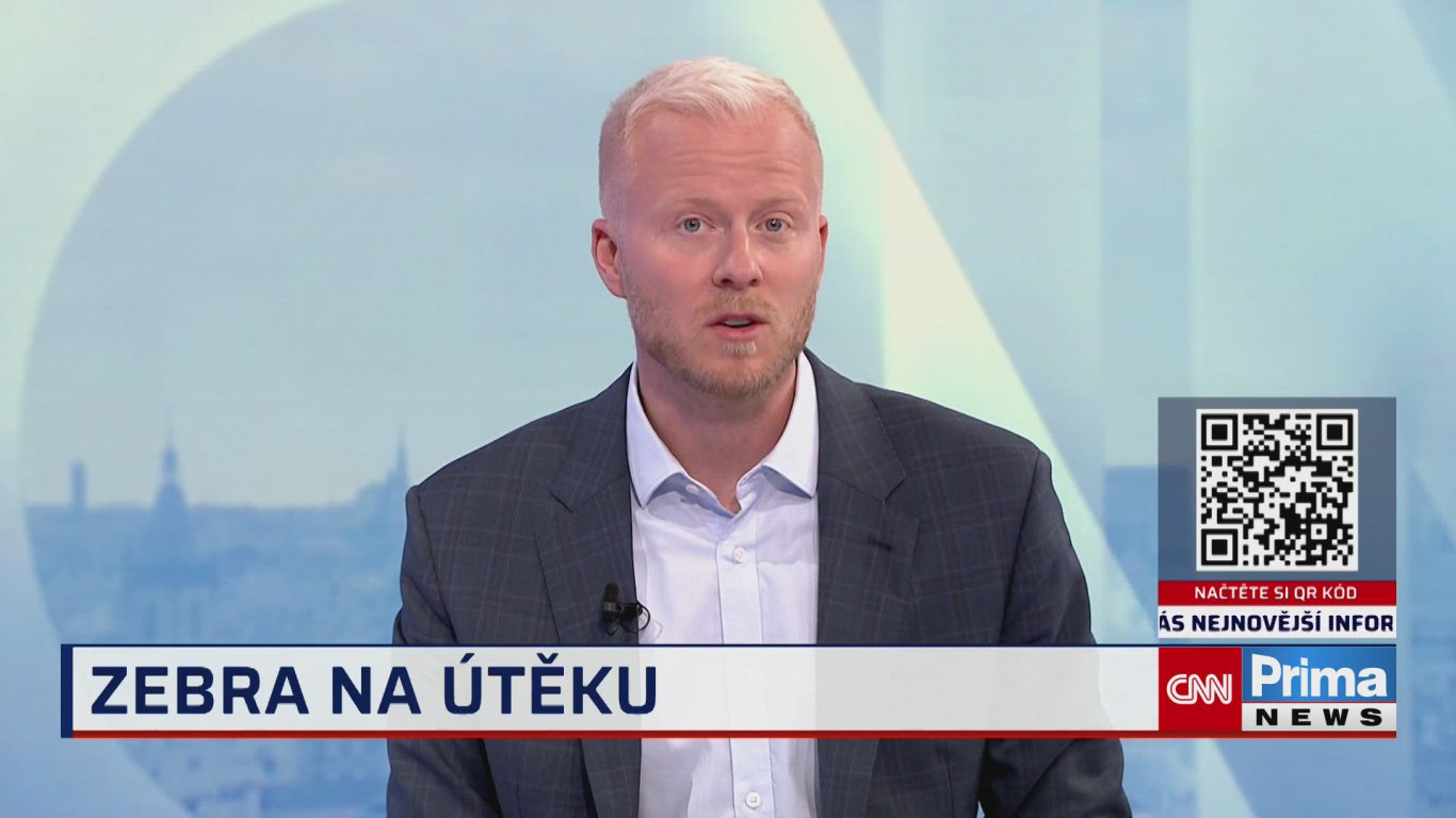 Zebra na útěku v Tennessee hitem internetu - CNN Prima NEWS