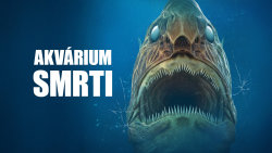 Akvárium smrti