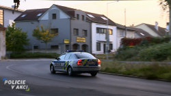 Policie v akci