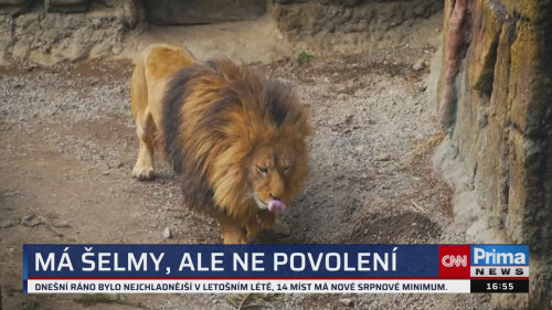 ZPRÁVY Z REGIONŮ - 24.8. v 16:55