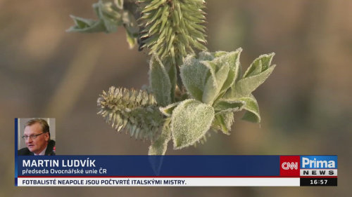 ZPRÁVY Z REGIONŮ - 24.5. v 16:55