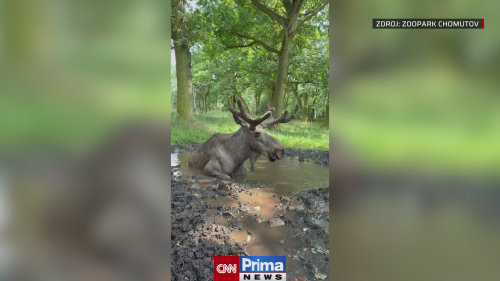 Chlazení zvířat v Zooparku Chomutov