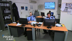 Policie v akci