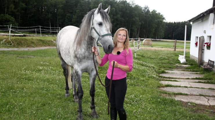 Farmář hledá ženu aneb čtyři farmáři a jedna farmářka rozdávají slunečnice nebo naději do budoucna