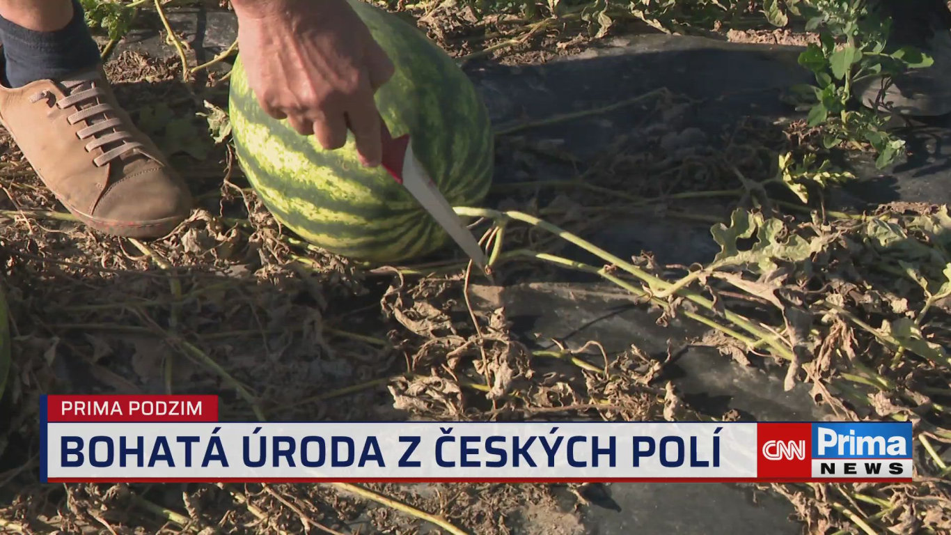 Prima ROK - 22.9. v 15:40 - Prima ROK - CNN Prima NEWS