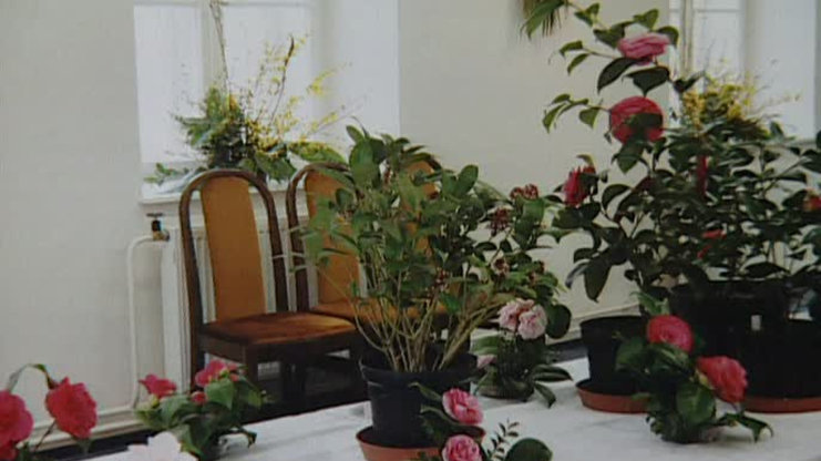 Receptář prima nápadů 2006 (7)