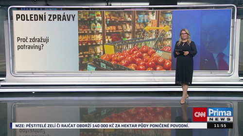 ZPRÁVY - 22.10. v 11:55