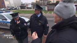 Policie v akci