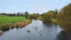 Suir