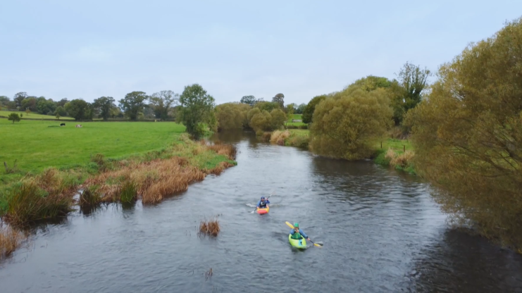 Suir