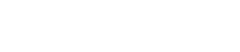 Lví válka