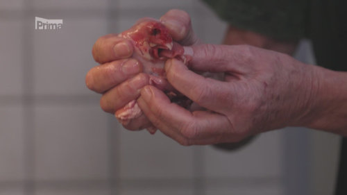 Králík a veverka - Prostřeno! S31 (18)