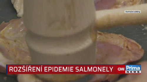 Epidemiolog Roman Prymula o rozšíření salmonely