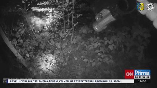 KRIMI ZPRÁVY - 7.11. v 16:30