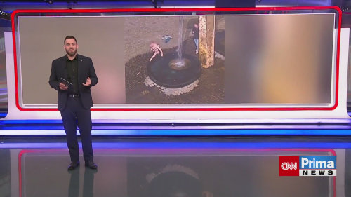 VIDEO: Lidé zneužívají kašny jako veřejná koupaliště. V Brně v ní dokonce myli syrové maso