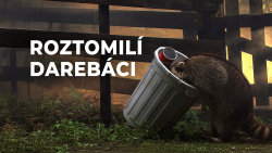 Roztomilí darebáci