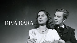 Divá Bára