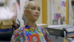 Hongkong: Umělá, nebo inteligentní