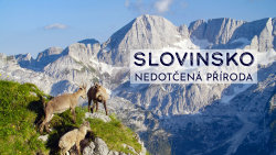 Slovinsko: Nedotčená příroda