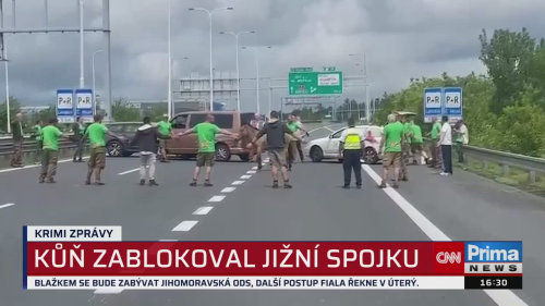 KRIMI ZPRÁVY - 2.6. v 16:30