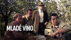 Mladé víno