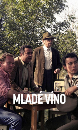 Mladé víno