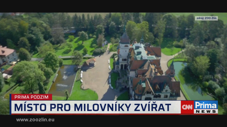 Náhled videa