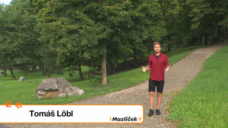 Náhled videa