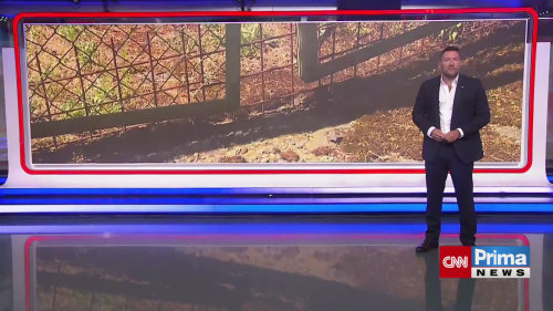 Pochybení dozorců a nedostatečná kontrola umožnily uprchnout vězni z Jiřic