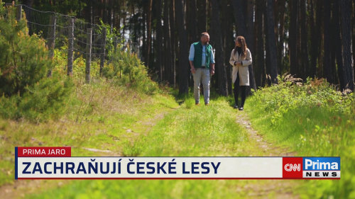 Prima ROK, 27.4. v 15:40